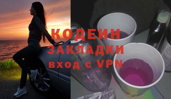 шишки Армянск