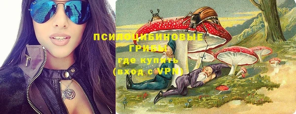 шишки Армянск