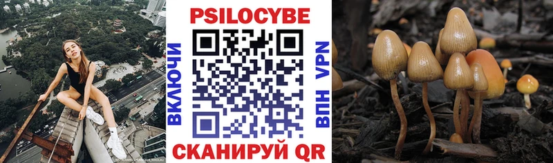 Псилоцибиновые грибы мицелий  цены   Строитель 